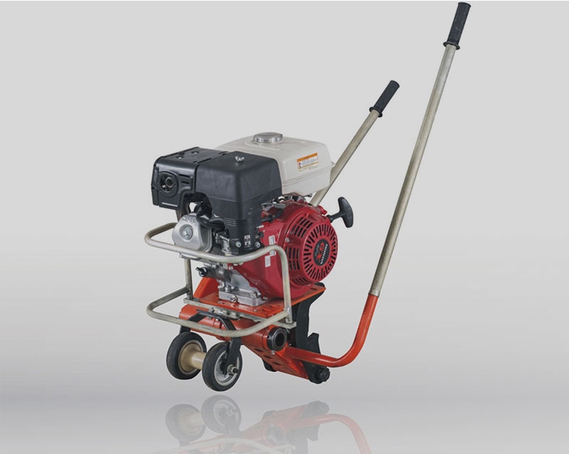 沈阳正能量网站免费观看